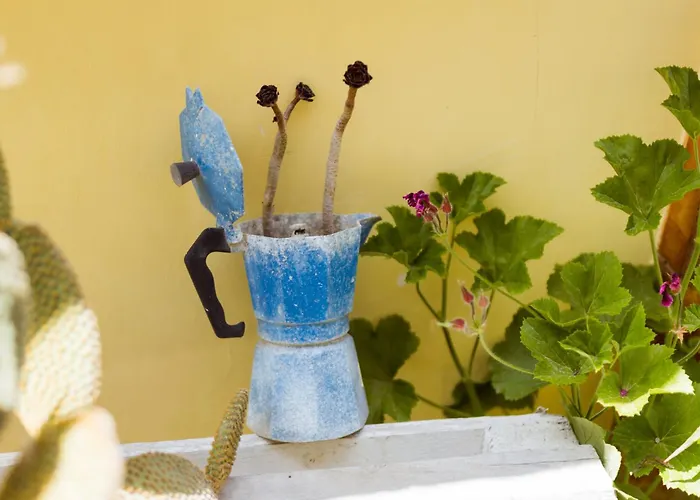 Fairytale - La Torretta 4*